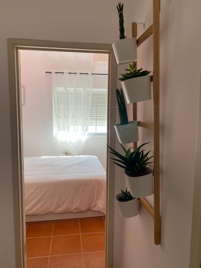 Apartamento Vicentino Віла-Нова-де-Мілфонтеш Екстер'єр фото