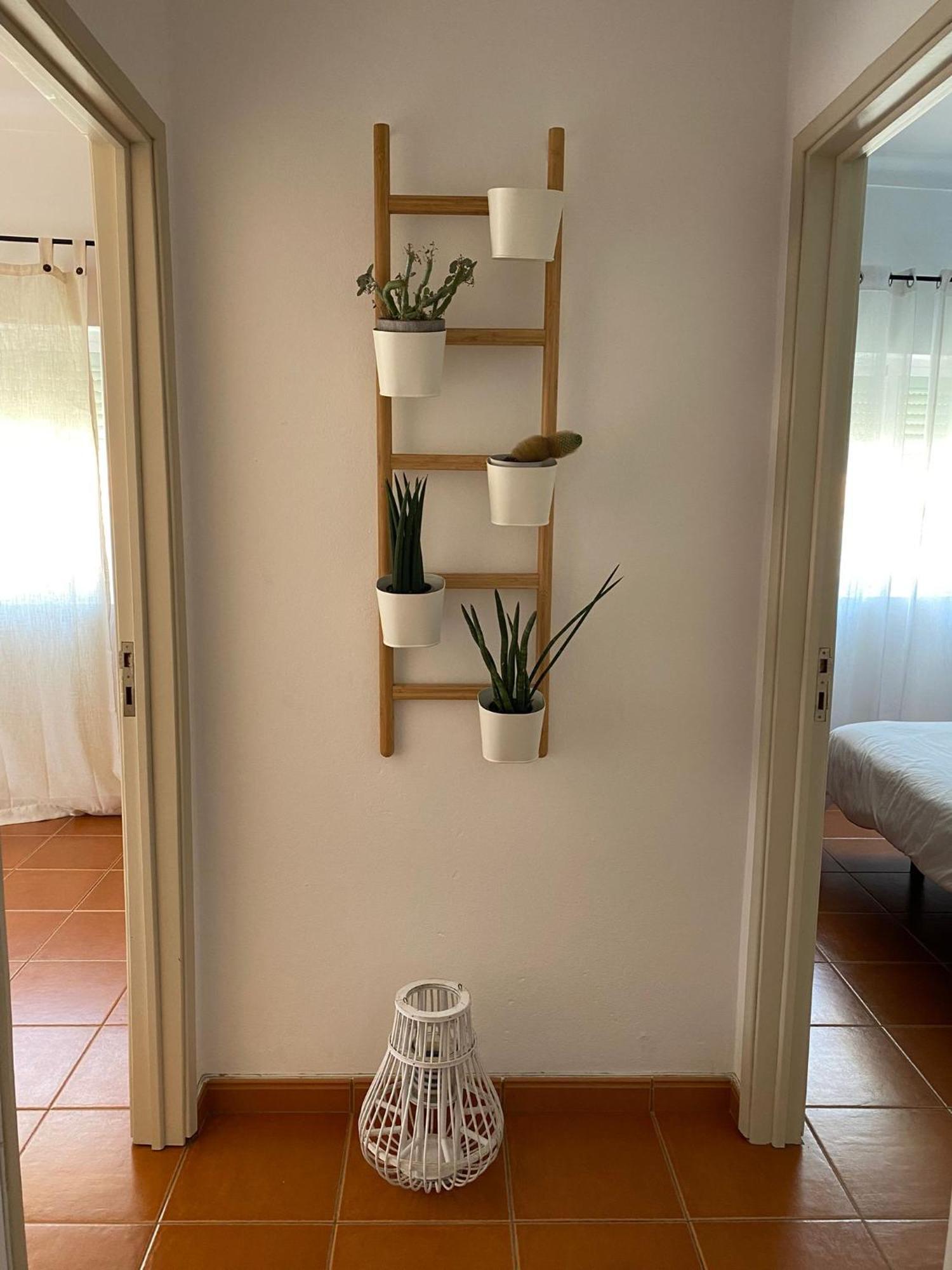 Apartamento Vicentino Віла-Нова-де-Мілфонтеш Екстер'єр фото